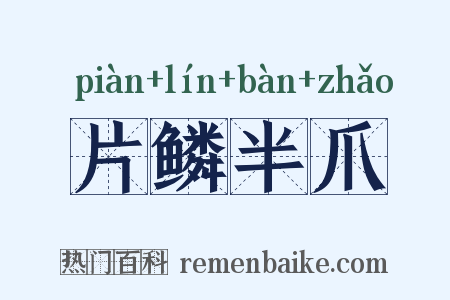 片鳞半爪是什么意思的图片